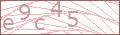  Friedhof Captcha