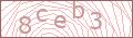  Friedhof Captcha