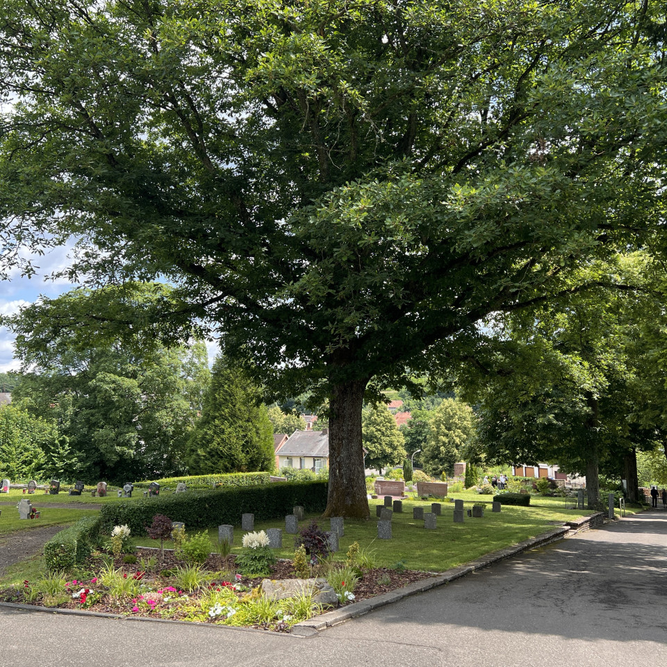 Friedhof Fischbach Friedhof Fischbach