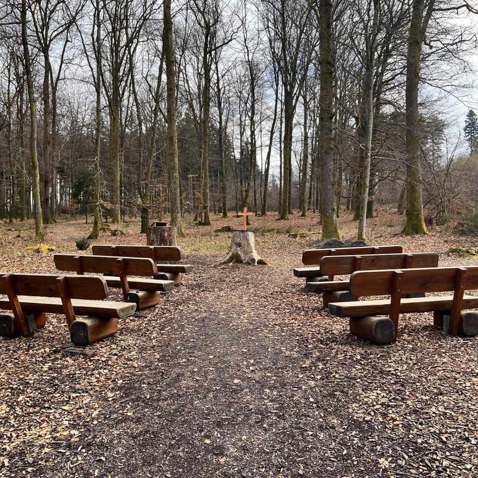 FriedWald Imsbach FriedWald Imsbach