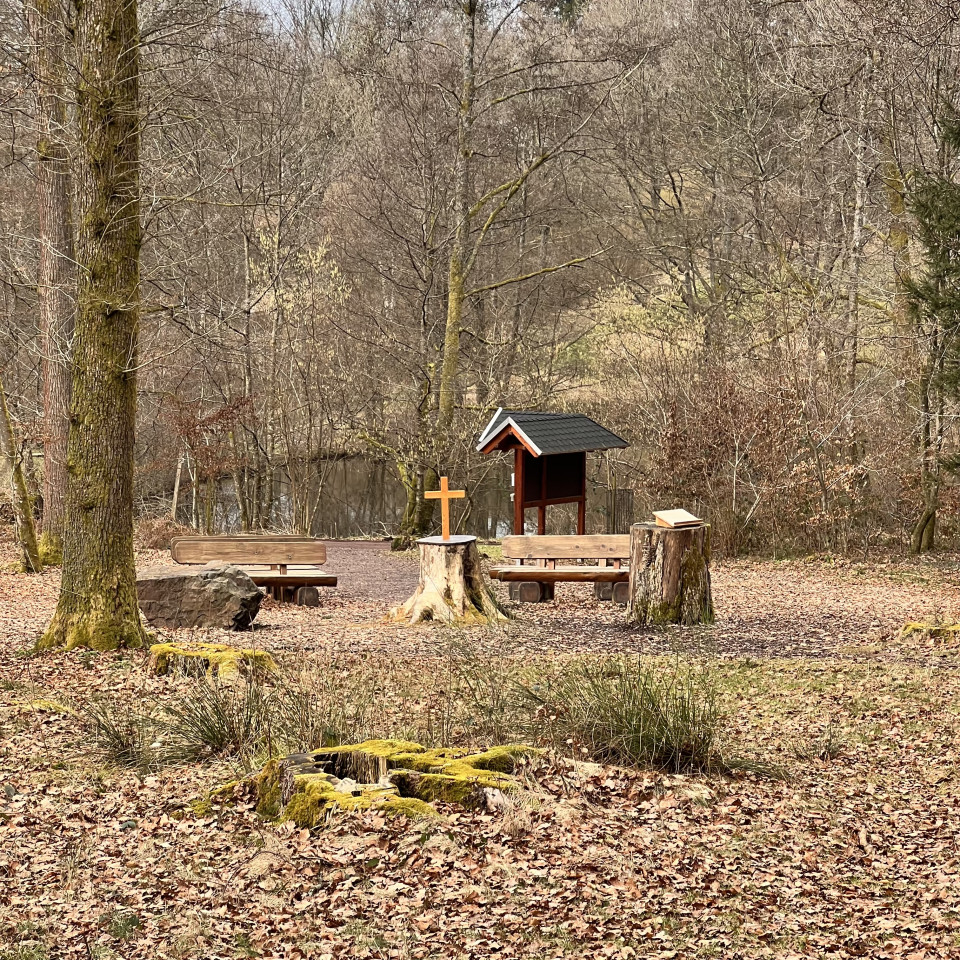 FriedWald Imsbach FriedWald Imsbach