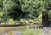 Friedhof Quierschied