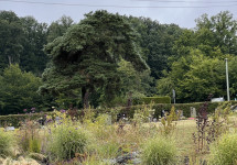 Friedhof Quierschied