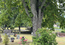 Friedhof Quierschied