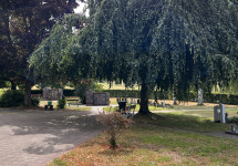 Friedhof Stennweiler