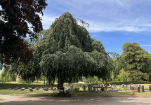 Friedhof Stennweiler