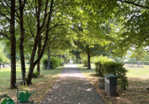 Friedhof Stennweiler