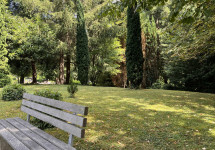 Friedhof Altenwald