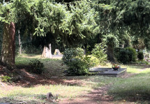 Friedhof Altenwald
