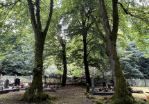 Friedhof Schnappach