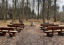 FriedWald Imsbach