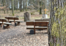 FriedWald Imsbach