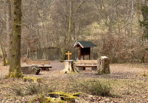 FriedWald Imsbach