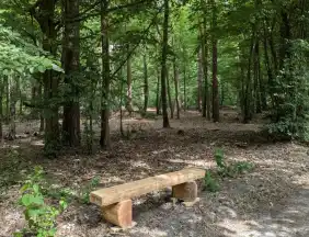 - FriedWald Oberkrämer