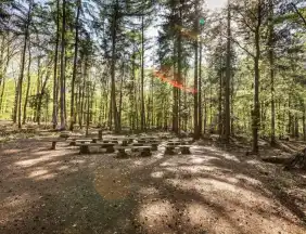 - FriedWald Buxtehude