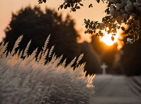 Friedhof Feldkirchen in Ingolstadt Friedhof Feldkirchen