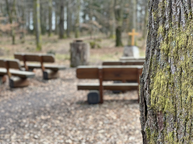 Tholey FriedWald Imsbach