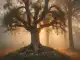 Beisetzung Eschelbach