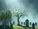 Abschiednahme Friedhof