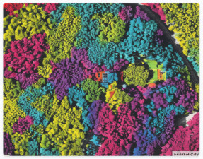 Ruheforst Kaiserslautern