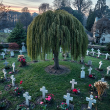 Zentralfriedhof Münster
