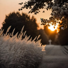 Friedhof Feldkirchen