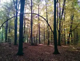 - FriedWald Mühlenbecker Land