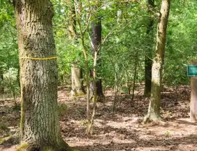 - FriedWald Nuthetal-Parforceheide