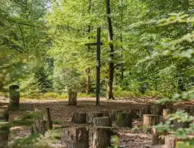 - FriedWald Bremer Schweiz