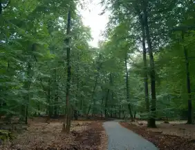 - FriedWald Cuxland
