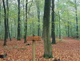 - FriedWald Bremervörde