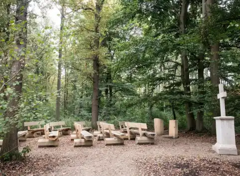 FriedWald Gronenburg