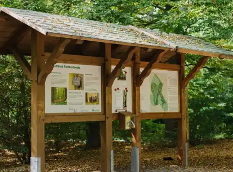 FriedWald Reinhardswald