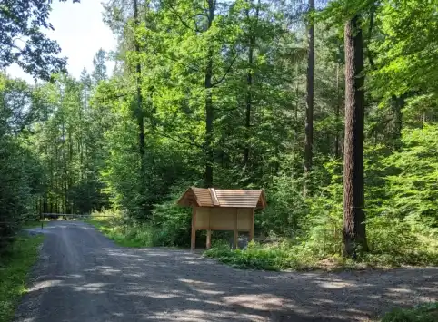 FriedWald Rudolstädter Hain