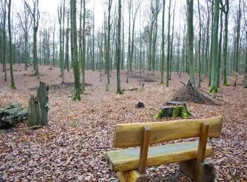 FriedWald Bernau bei Berlin