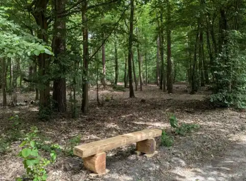 FriedWald Oberkrämer