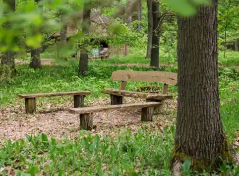 FriedWald Fürstenwalde