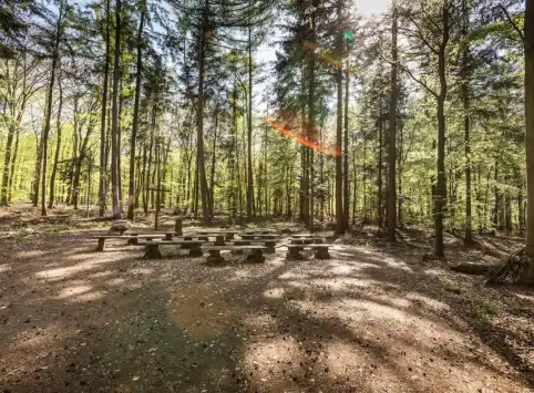 FriedWald Buxtehude