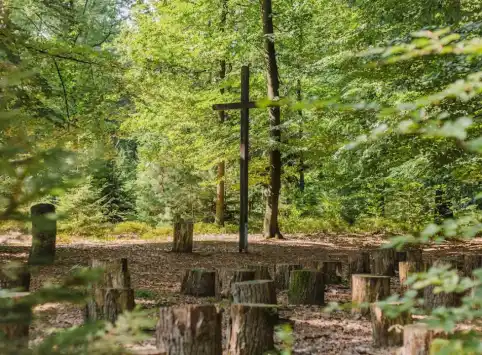 FriedWald Bremer Schweiz
