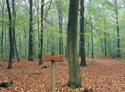 FriedWald Bremervörde