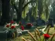 Sterbefall Friedhof Schönenberg