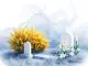 Abschiednahme Friedhof Rostock